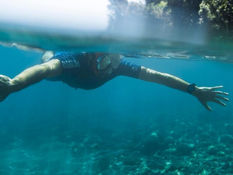 Snorkelling & Marine Biology Experience in the Cinque Terre - Frequently Asked Questions