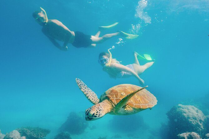 Snorkelling or Glass Bottom Boat at Green Island from Cairns - Green Island Snorkelling or Glass Bottom Boat from Cairns: An In-Depth Review