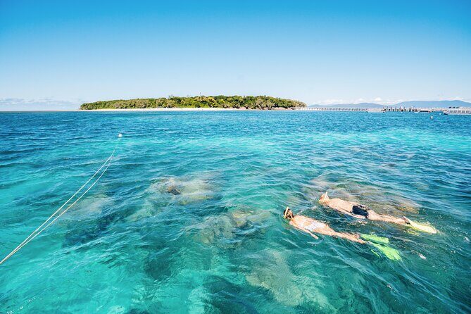 Snorkelling or Glass Bottom Boat at Green Island from Cairns - A Closer Look at the Itinerary