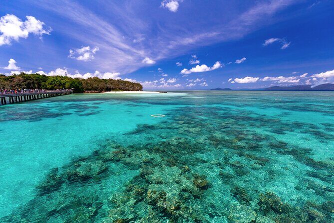 Snorkelling or Glass Bottom Boat at Green Island from Cairns - The Sum Up: Who Is This Tour Best For?