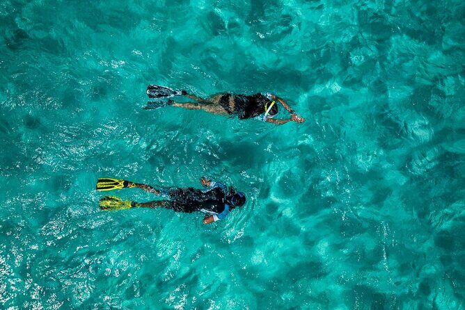 Snorkelling Trip at Ponta de São Lourenço Protected Area - An In-Depth Look at the Snorkelling Experience in Madeira’s Marine Reserve