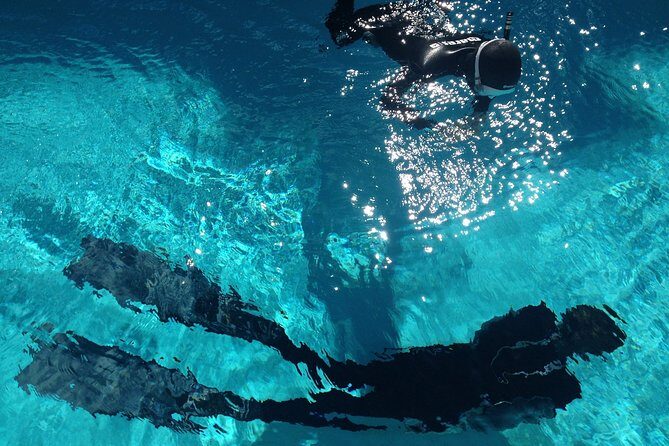 Snorkelling Trip at Ponta de São Lourenço Protected Area - Who Should Consider This Tour?