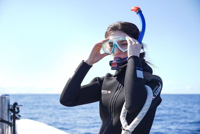 Snorkelling Trip at Ponta de São Lourenço Protected Area - FAQ