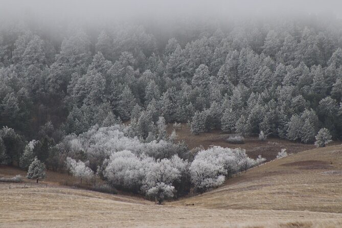 Snow-Capped Escapes: Black Hills in Winter - The Sum Up