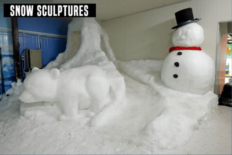 Snow City Singapore 1-Hour Play Ticket - The Value of Your Snow Play Ticket