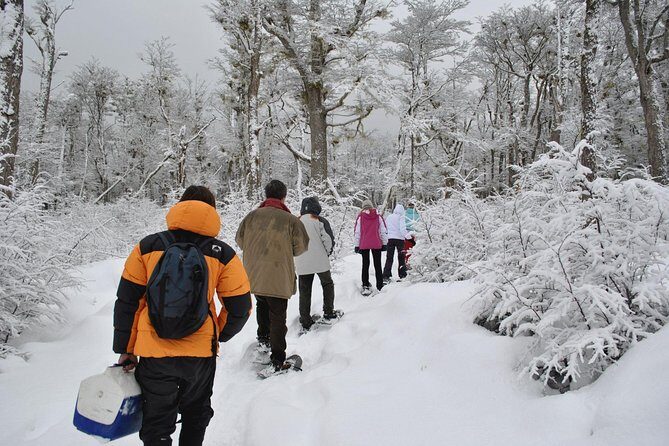 Snow Day Adventure: Hike & Moto Ski at Llanos del Castor - Key Points