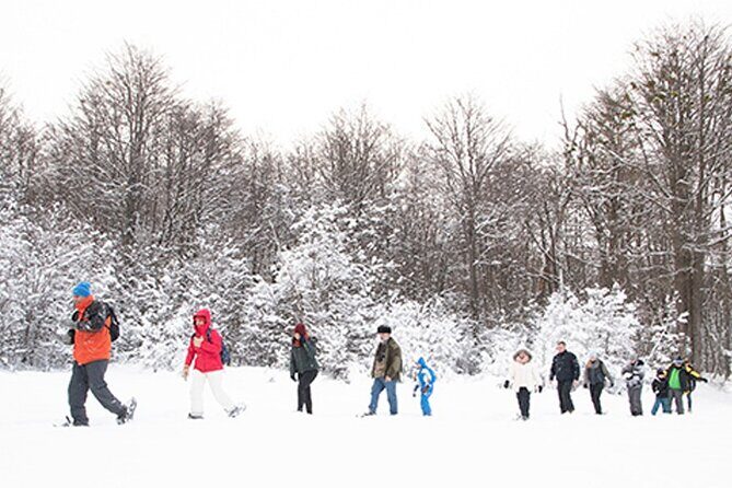 Snow day on snowmobiles, snowshoe hike and culipatín - Final Thoughts