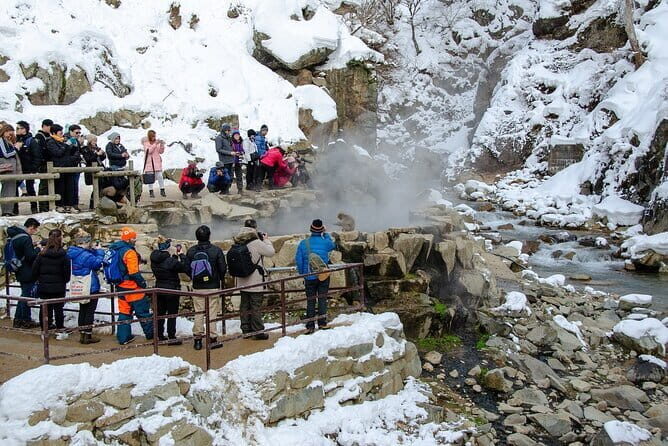 Snow Monkey and Obuse from Nagano - The Journey to See the Snow Monkeys at Jigokudani