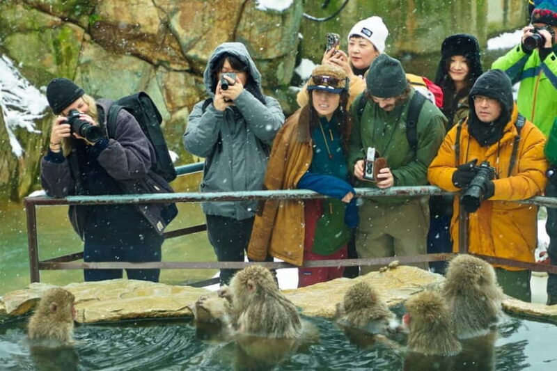 Snow Monkey, Hokusai & Sake: A Perfect Day in Nagano - A Deep Dive into Nagano’s Highlights