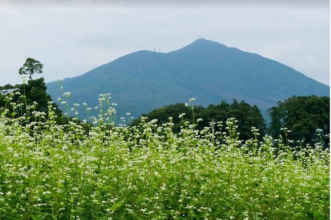 Snow Monkey Nagano Day Tour by Car English Driver in Person Guide - Who Should Consider This Tour?