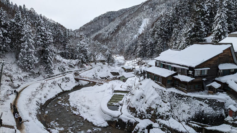 Snow Monkey Tour from Tokyo with Beef Sukiyaki Lunch - Is $111.09 good value?