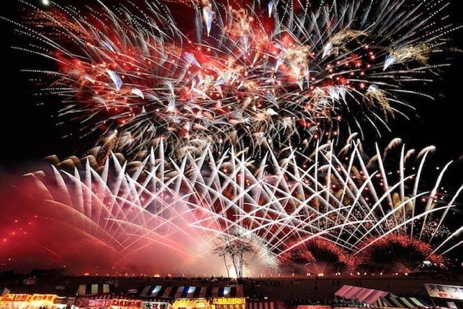 Snow Monkeys Park Tour and Ebisu-ko Fireworks Fest in Nagano - Key Points