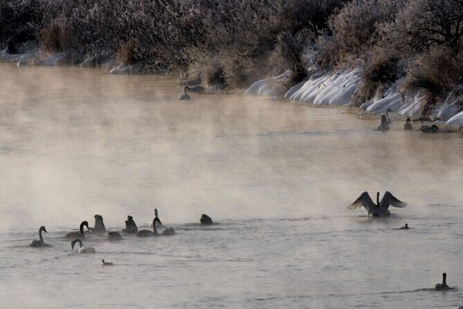 Snow View Rafting with Watching Wildlife in Chitose River - Frequently Asked Questions (FAQ)