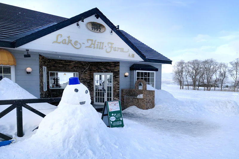(Snow Viewing Limited) Hokkaido Noboribetsu Jigokudani / Lake Toya / Lake Hill Farm / Showa-shinzan | Optional Snowmobile Experience | Departing from Sapporo | English and Chinese Speaking Guide - Guides, timing and the practical trade-offs