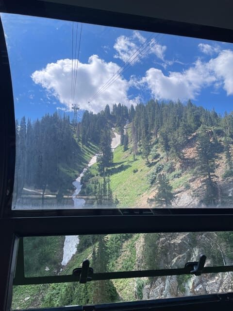 Snowbird Summer Excursion Day Tour - Exploring the Snowbird Summer Excursion Day Tour in Detail