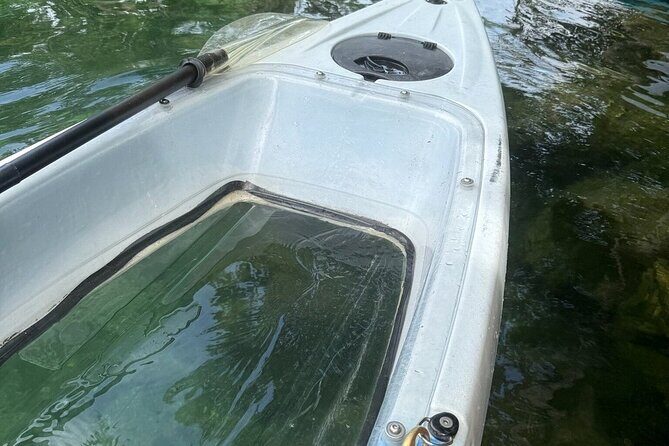 Snowbirds Paddle Club Guided Kayak and Paddleboard Sessions - The Sum Up: Who Will Love This Experience?