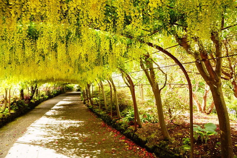 Snowdonia: Snowdonia, Bodnant Gardens & Castles Private Tour - Exploring Snowdonia, Castles, and Gardens: An Authentic Welsh Day Trip