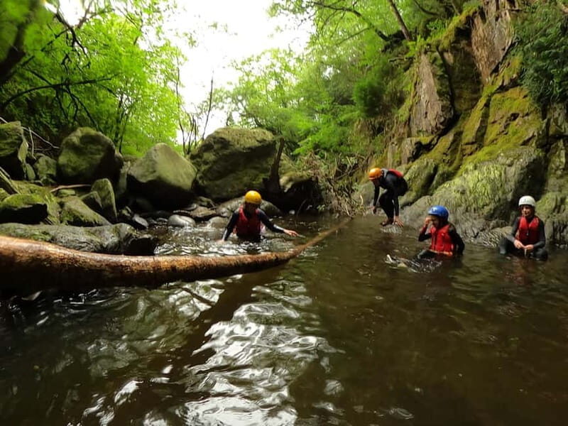 Snowdonia: Thrilling Gorge Walking Tour with Expert Guides - Final Thoughts: Who Will Love This?