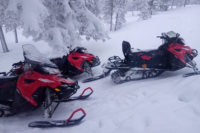 Snowmobile and Ice Fishing Excursion (private tour) - Exploring the Arctic Environment on a Snowmobile