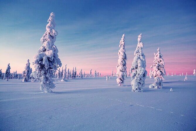 Snowmobile and Ice Fishing Experience - Final thoughts