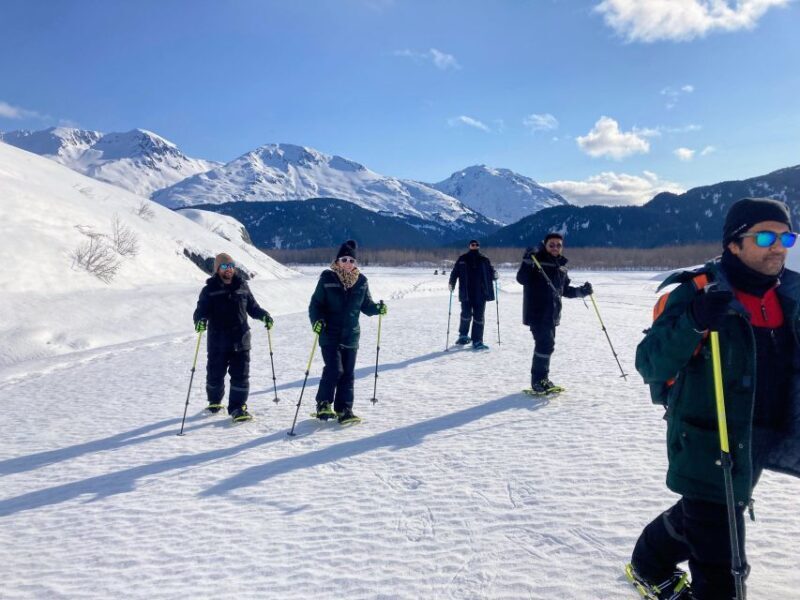 Snowmobile and Snowshoe Dual Adventure from Seward, AK - Snowmobile and Snowshoe Dual Adventure from Seward, AK