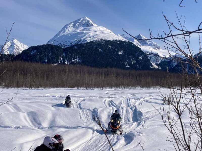 Snowmobile and Snowshoe Dual Adventure from Seward, AK - The Views and Wildlife