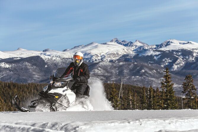 Snowmobile & Animals Day Tour - An In-Depth Look at the Tour Experience