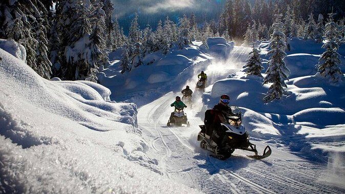 Snowmobile & Animals Day Tour - Who Will Love This Tour?