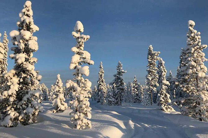 Snowmobile Arctic Adventure - Final Thoughts