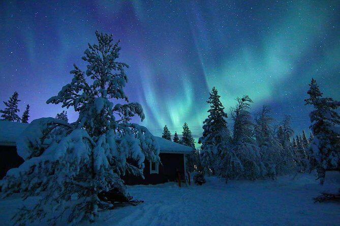 Snowmobile Aurora Expedition with dinner - The Scenic Journey and Aurora Hunting