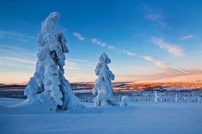 Snowmobile Driving - Morning start - Authentic Reviews and Experiences