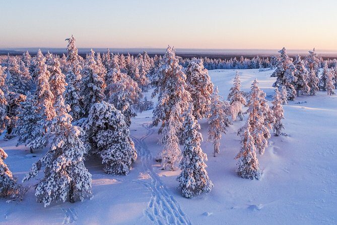 Snowmobile Driving - Morning start - The Value of the Tour