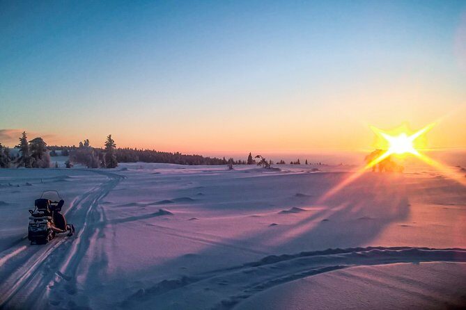 Snowmobile Safari in the Nature - An In-Depth Look at the Snowmobile Safari Experience