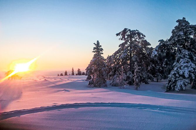 Snowmobile Safari in the Nature - Morning start - Key Points