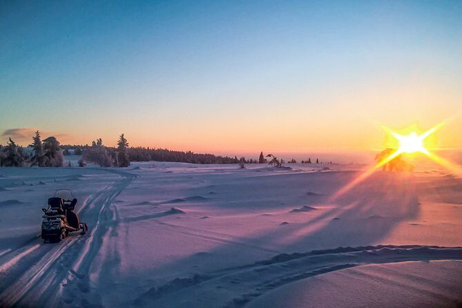Snowmobile Safari in the Nature - Morning start - What the Reviews Tell Us