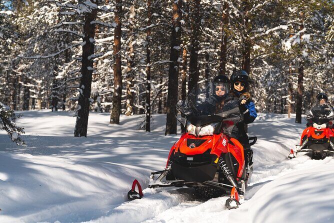 Snowmobile Safari into the Arctic Circle Forest - What to Expect on Your Snowmobile Safari