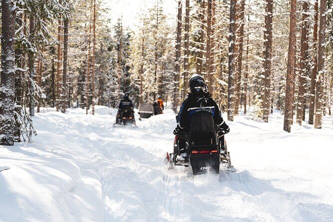 Snowmobile Safari into the Arctic Circle Forest - Practical Considerations & Tips