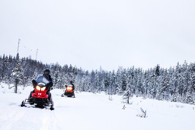 Snowmobile Safari on the Tundra - Key Points