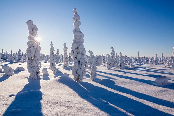 Snowmobile Safari on the Tundra - The Sum Up