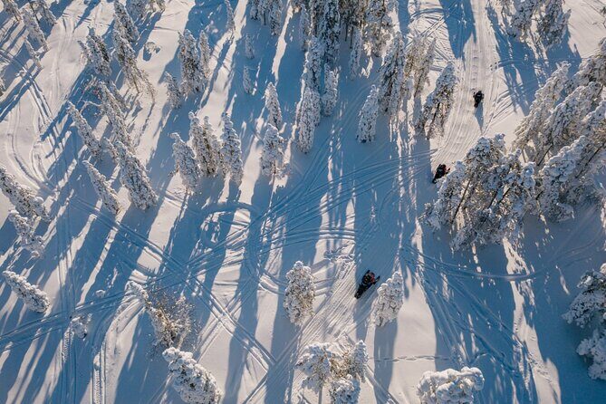 Snowmobile Safari through Lappish Forest from Rovaniemi - A Deep Dive into the Snowmobile Safari Experience