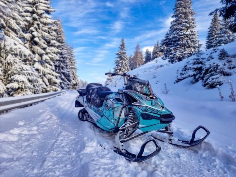 Snowmobile Tour In Bucegi Mountains - An In-Depth Look at the Snowmobile Tour in Bucegi Mountains
