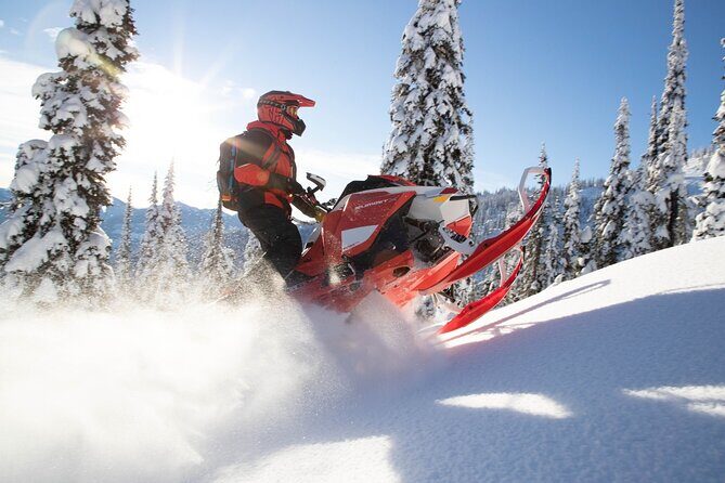 Snowmobiles and Huskies - Snowmobiles and Huskies Tour in Rovaniemi: An Authentic Arctic Adventure