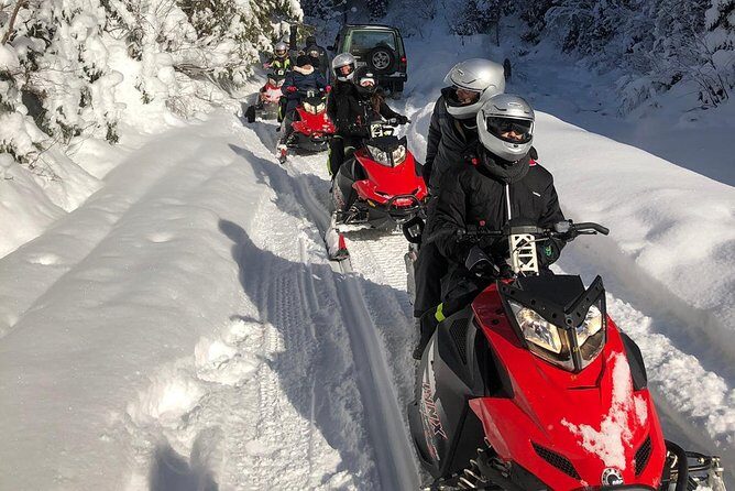 SnowMobiles Tour in Carpathian Mountains - Key Points