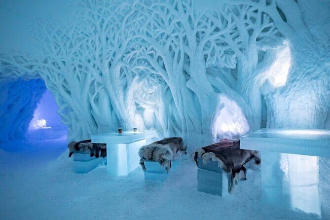 Snowmobiling , Tromsø Ice Domes Snow Park, and Reindeer Visit - Key Points