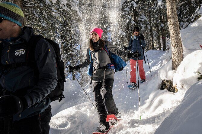 Snowshoe Adventure in the Swiss Alps - Who Will Love This Tour?