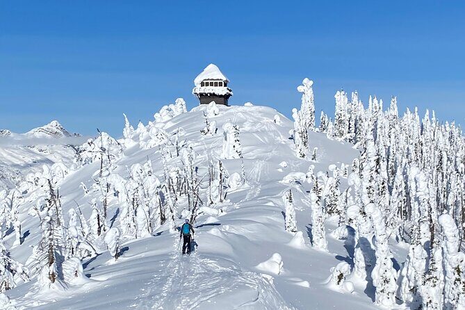 Snowshoe and Scenic Drive Tour in Glacier National Park - Discover Glacier’s Winter Wonderland: Snowshoe and Scenic Drive Tour