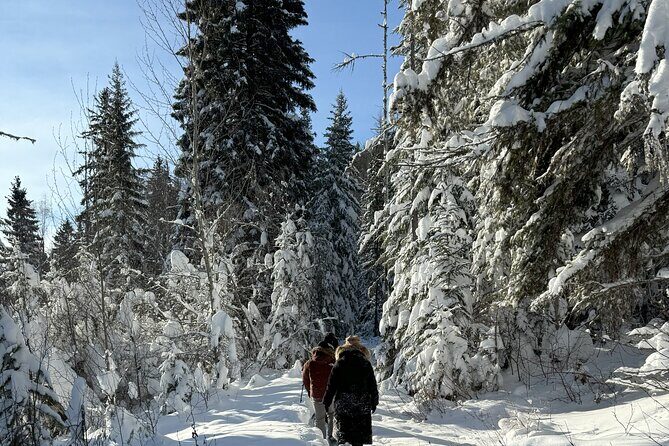 Snowshoe Day Tour In Glacier National Park - Why Choose This Tour?