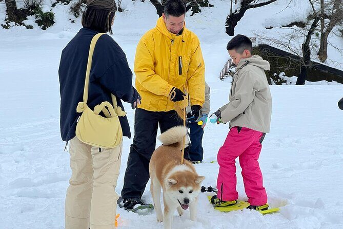 Snowshoe Experience in Akita Yuzawa Winter Park with an Akita Dog - Key Points