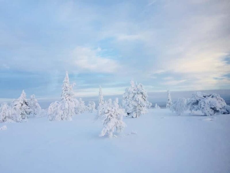 Snowshoe experience with traditional beverages in Lapland - Snowshoe Experience with Traditional Beverages in Lapland