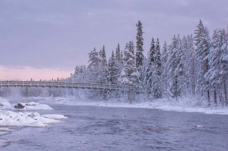Snowshoe experience with traditional beverages in Lapland - FAQ